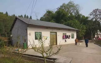 共建清洁家园，共享美好生活——大足区农村生活垃圾与家禽牲畜管理倡议书