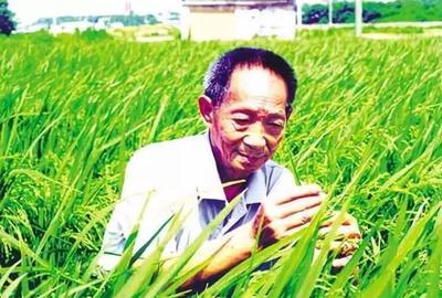 军力与猪肉的秘密关系 大炮与黄油的工业双面性